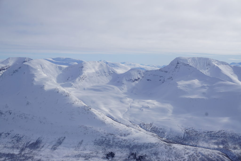 A closer look at the Backyard of Tamok Husset